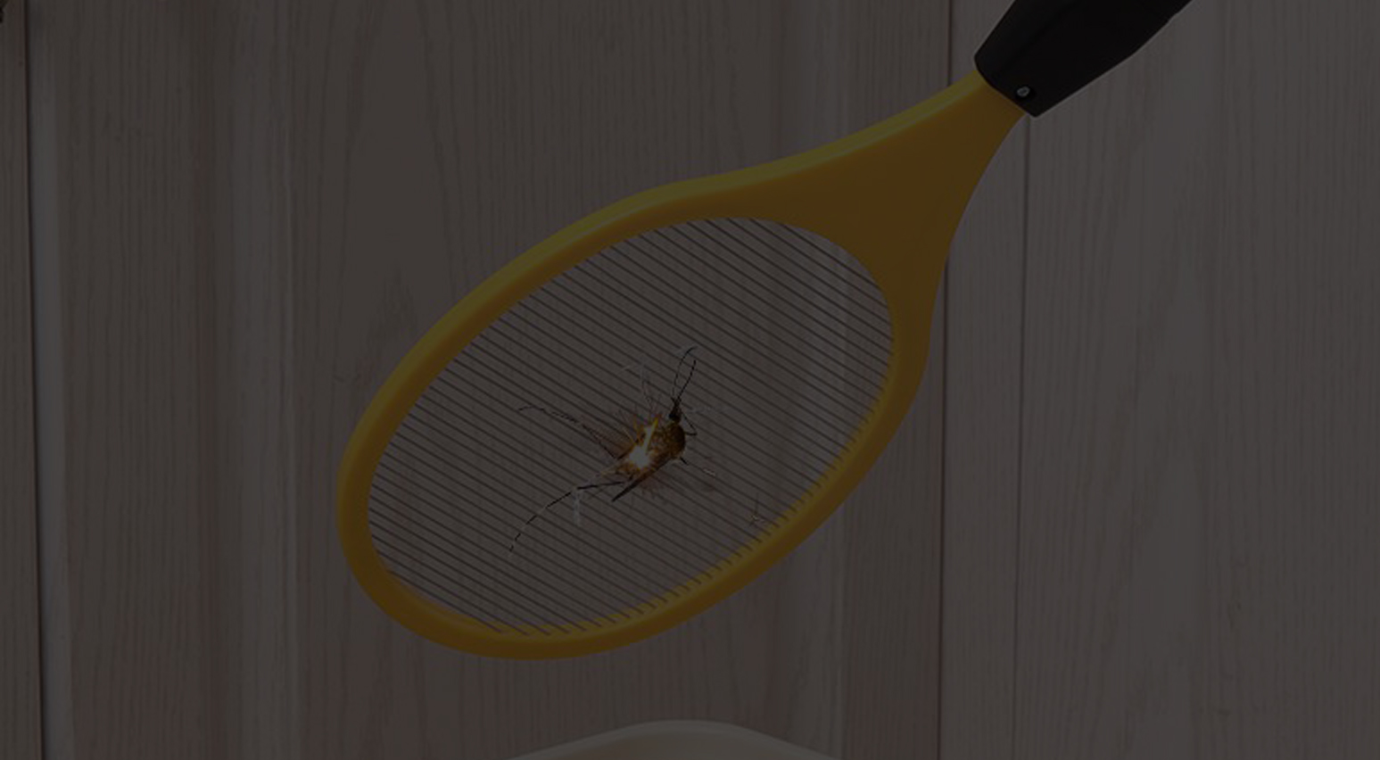 Lernen wir das Funktionsprinzip der elektrischen Mückenklatsche kennen!